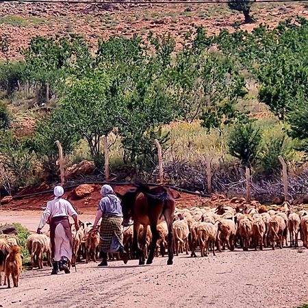 Ferme D"Hote Lala Fatima Ain Leuh Eksteriør bilde